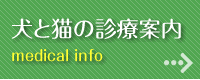 犬と猫の診療案内